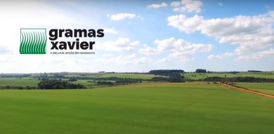 Gramas Xavier