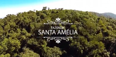 Fazenda Santa Amélia